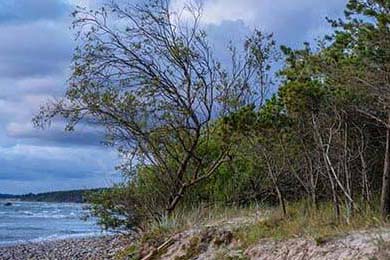 曼城对尤文的胜利强化其世俱杯头号竞争者地位，曼城尤文最新比赛