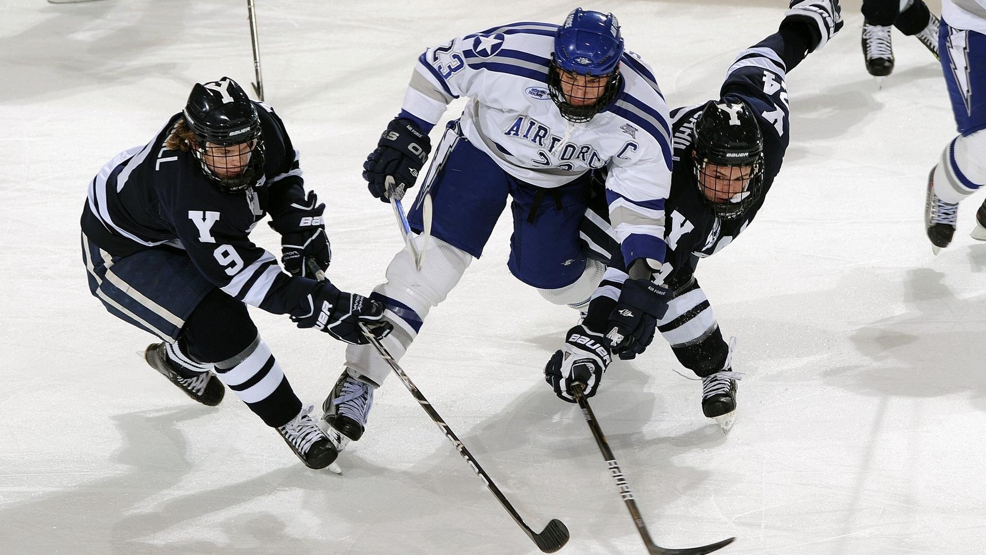 “南非羚羊队冲击世界第一，萨尔·巴赫成为焦点人物”