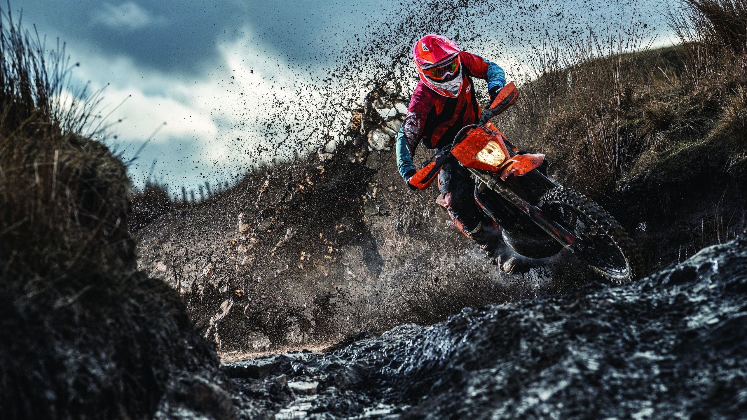 库里赛后与小球迷温情互动，库里和队友